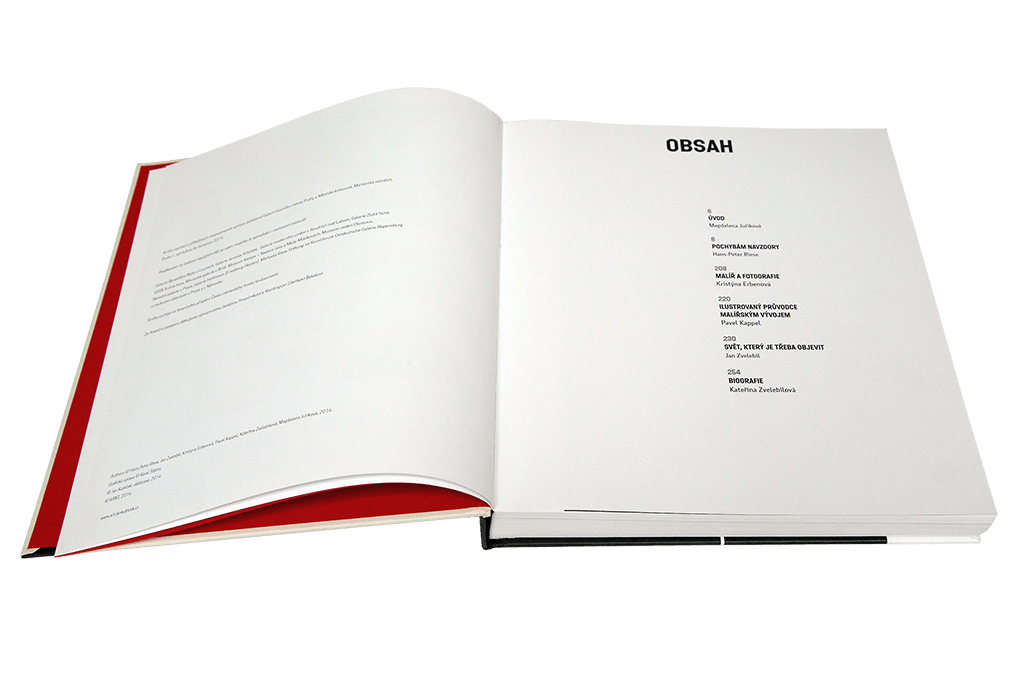 Kubicek Publication