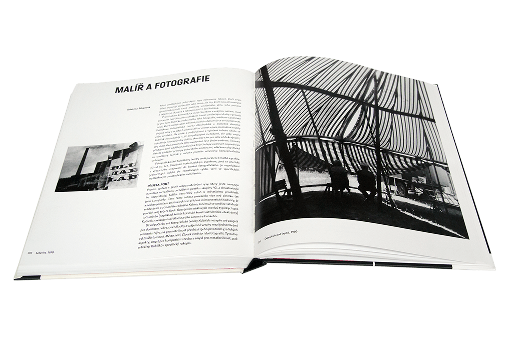 Kubicek Publication