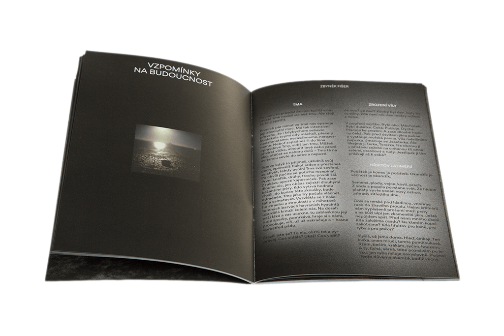 Publication 'Moondust'